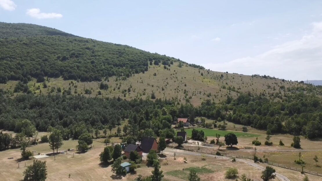 video image